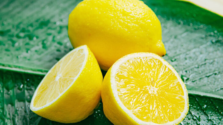 【アロマ】レモン精油<br />-植物の特徴・期待される効果効能とは?