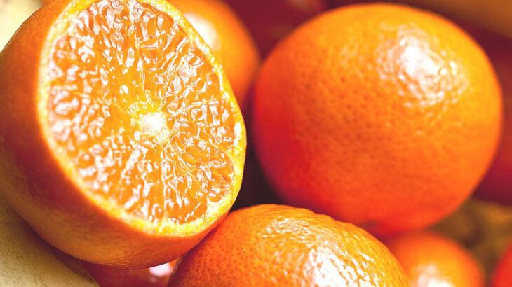 【アロマ】オレンジスイート精油<br />-植物の特徴・期待される効果効能とは?